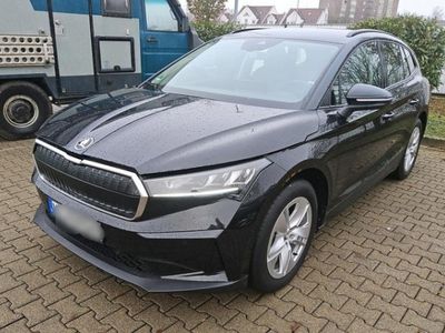 SKODA Enyaq 50 Loft Klima Fenster el.