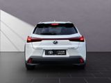 LEXUS UX 250 h Style Edition*Navi*11J.Garantie*