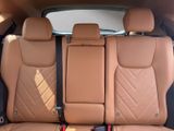 LEXUS NX 450h E-Four*Pano*Sitzbelüftung*HUD*