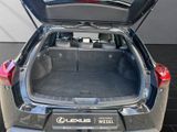 LEXUS UX 250h STYLE EDITION 1HD+CARPLAY+NAVI+PDC+LED
