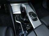 BMW 530 d xDrive MSport AHK Sportsitz Alarm Rollos