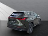 LEXUS NX 350h h 243 PS Executive Inter ieur Paket + Te