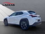 LEXUS UX 250 h*EXECUTIVE*HUD*LEDER*SCHIEBEDACH