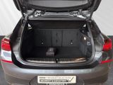 BMW X2 sDrive20i Navi Tempomat HiFi LED Rückfahrkam.