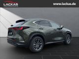 LEXUS NX 350 h 15 Jahre Garantie Exec utive + Interieu