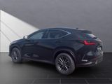 LEXUS NX 350h h 243 PS Executive Inter ieur Paket + Te
