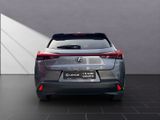 LEXUS UX 250H*SCHECKHEFT*TOTW*LEDER*