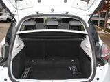 RENAULT ZOE Experience 52KW KAUF-BATTERIE PDC+SHZ+LHZ