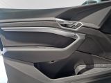 AUDI Q8 e-tron 55 quattro Advanced Navi+ Matrix-LED