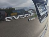 LAND ROVER Range Rover Evoque P300e R-Dynamic SE AHK