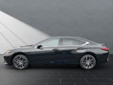 LEXUS ES 300 h+BUSINESS SCHIEBEDACH+SHZ+