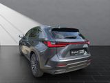LEXUS NX 350h h 243 PS ** 15 Jahre Gar antie ** Sitzkl