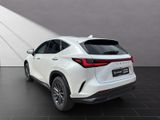 LEXUS NX 350h h 243 PS Executive *15-J ahre Garantie* 