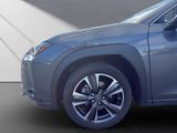 LEXUS UX 250 h Executive Line