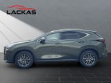 LEXUS NX 450h +4x4+Business+SITZ-BEL+AMBIENTEL+ SOFORT