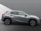 LEXUS UX 250 h*STYLE*CARPLAY*PDC*15 JAHRE GARANTIE