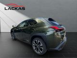 LEXUS UX 250h STYLE SHZ+KAMERA+PDC+LED+DAB+CARPLAY+18"
