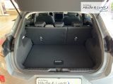 FORD Puma Titanium Winterpaket LED Rückfahrkam.