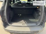 FORD Kuga ST-Line Allrad El. Heckklappe Rückfahrkam.