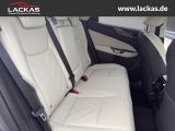 LEXUS NX 350h h 243PS Executive Interi eur Paket + Tec