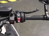 BMW S 1000 R M Paket Carbon Räder Taschen
