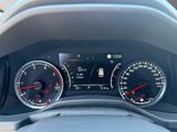 TOYOTA Land Cruiser 300 70th Anniversary AHK+STANDHEIZ.