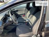 FORD Fiesta Titanium LED Klimaautom PDC SHZ Beheizb. Frontsch.