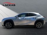 LEXUS UX 250h*F-SPORT-D*1.HD*NAVI*SHZ*CARPLAY*PDC*