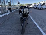 TRIUMPH Bonneville T100 Seitentaschen+Wartuung neu