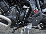 TRIUMPH Tiger 900 Alpine Edition Akrapovic-Lager