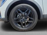 RENAULT Arkana Esprit Alpine NAVI+PDC+RfK+SHZ+LHZ