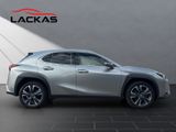 LEXUS UX 250h Style CARPLAY+NAVI+PDC
