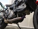 DUCATI Monster Rizoma KZH, Rizoma WSD