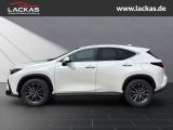 LEXUS NX 350 h 243 PS Executive *15-J ahre Garantie* I