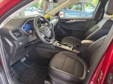 FORD Kuga Hybrid Titanium X ACC/APP/RFK/NAVI/TEMP