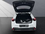 LEXUS UX 250h*F-SPORT-D.*1.HD*ALLW.REIF** 15J-GARANTIE