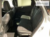 FORD Kuga Titanium X LED Navi Rückfahrkam. ACC Totwinkelassistent
