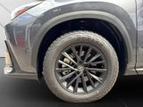 LEXUS NX 450h + F Sport NX 450h+ F Sport