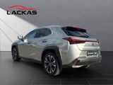 LEXUS UX 250h Style CARPLAY+NAVI+PDC