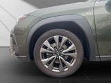 LEXUS UX 250h*FSPORT-D*1HD*ALLW.R*LEDER* 15J-GARANTIE*
