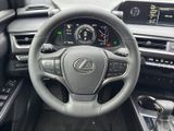 LEXUS UX 250h *lenkH*sitzH*Kamera*