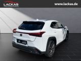 LEXUS UX 300h F-SPORT DESIGN*TOTW*FA CELIFT*GARANTIE*