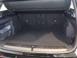 BMW iX1 xDrive 30+Park-Assistent+Navi+Soundsystem+LED+El. Heckklappe
