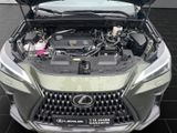 LEXUS NX 350h Executive Line