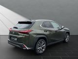 LEXUS UX 250h*FSPORT-D*1.HD*ALLW.REIF*SHZ* NAVI*CARPL*