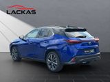 LEXUS UX 300h F-Sport E FOUR Schiebedach+360°+LEDER