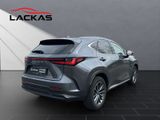 LEXUS NX 350h Executive*HUD*SHZ*MEMORY* 15J*E-Four