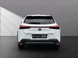 LEXUS UX 250h*F-SPORT-D.*1.HD*ALLW.REIF** 15J-GARANTIE
