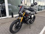 TRIUMPH Scrambler 400XC NEU! Sofort Verfügbar