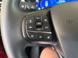 FORD Kuga Hybrid Titanium X ACC/APP/RFK/NAVI/TEMP